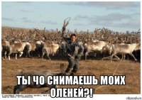  ты чо снимаешь моих оленей?!