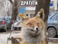 дратути 
