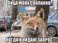 лица моих сокланов когда я кидаю запрос