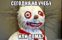 сегодня на учёбу или дома?