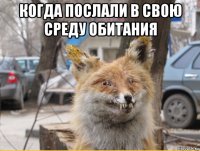когда послали в свою среду обитания 