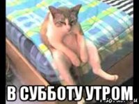  в субботу утром