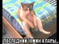  последнии 10мин 4 пары