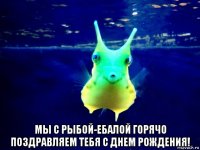  мы с рыбой-ебалой горячо поздравляем тебя с днем рождения!