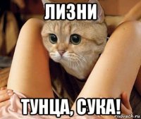 лизни тунца, сука!