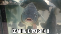  ёбанные пузыри !!