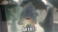  да епт !