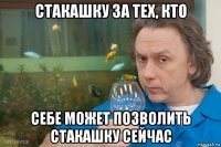 стакашку за тех, кто себе может позволить стакашку сейчас