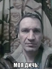  моя дичь.