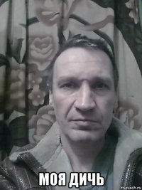  моя дичь