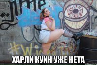  харли куин уже нета