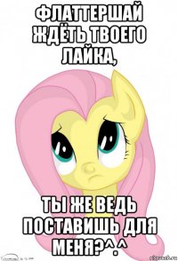 флаттершай ждёть твоего лайка, ты же ведь поставишь для меня?^.^