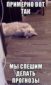 примерно вот так мы спешим делать прогнозы