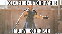 когда зовёшь сокланов на дружеский бой