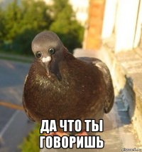  да что ты говоришь