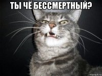 ты чё бессмертный? 