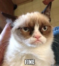  fine