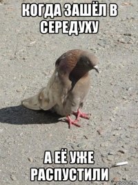 когда зашёл в середуху а её уже распустили