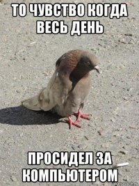 то чувство когда весь день просидел за компьютером