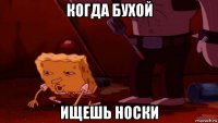 когда бухой ищешь носки