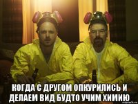  когда с другом опкурились и делаем вид будто учим химию