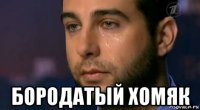 бородатый хомяк