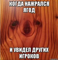 когда нажрался ягод и увидел других игроков