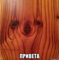  привета
