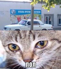  лол