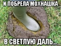 и побрела мохнашка в светлую даль...