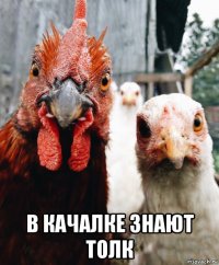  в качалке знают толк