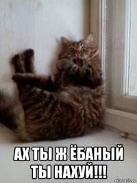  ах ты ж ёбаный ты нахуй!!!