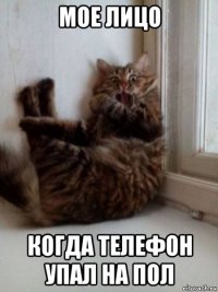 мое лицо когда телефон упал на пол