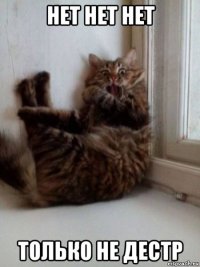 нет нет нет только не дестр
