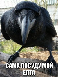  сама посуду мой епта