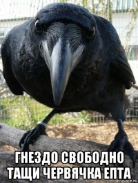 гнездо свободно тащи червячка епта