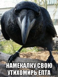  намекалку свою утихомирь епта