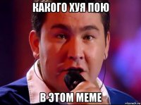 какого хуя пою в этом меме