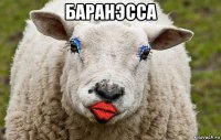 баранэсса 