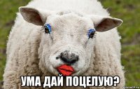  ума дай поцелую?