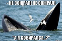 - не сожрал! не сожрал! "а я собирался..?"