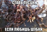 ставь лусцк, если любишь шубки