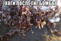 хоги после гиг бомбы 