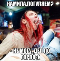 камила,погуляем? - не могу, дел по горло :(