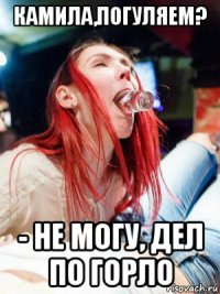 камила,погуляем? - не могу, дел по горло