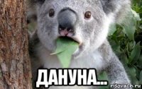  дануна...