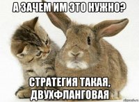 а зачем им это нужно? стратегия такая, двухфланговая