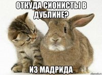 откуда сионисты в дублине? из мадрида