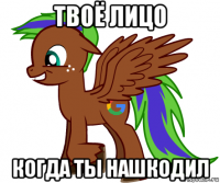 твоё лицо когда ты нашкодил