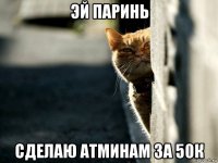 эй паринь сделаю атминам за 50к